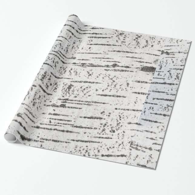 Birch bark pattern wrapping paper (Unrolled)
