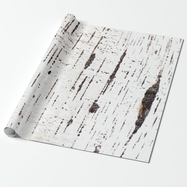 Birch bark pattern wrapping paper (Unrolled)