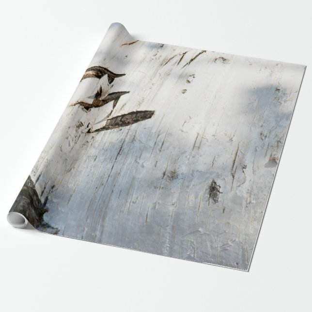Birch bark pattern wrapping paper (Unrolled)