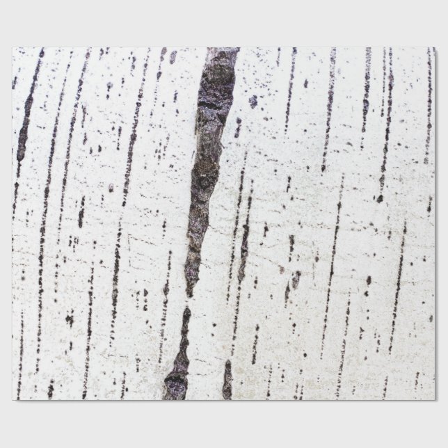 Birch bark pattern wrapping paper (Flat)