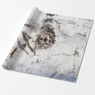Birch bark pattern wrapping paper