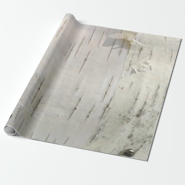 Birch bark pattern wrapping paper (Unrolled)