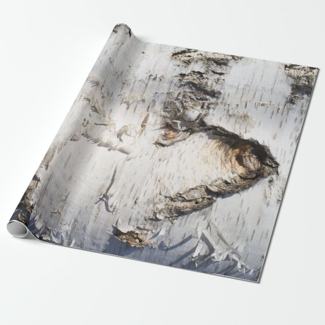 Birch bark pattern wrapping paper (Unrolled)