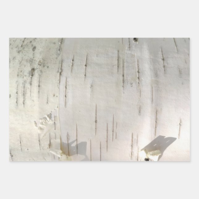 Birch bark pattern wrapping paper sheet (Front)