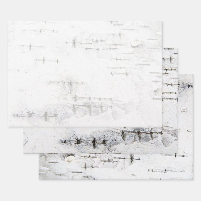 Birch bark pattern wrapping paper sheet (Set)