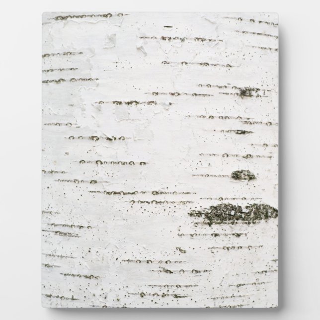 Birch bark plaque (Front)