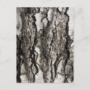Birch bark postcard
