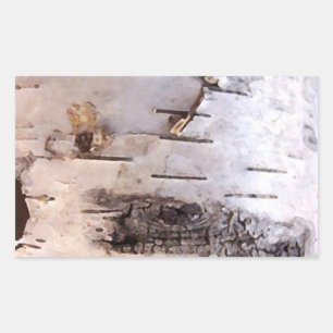 Birch Bark Rectangular Sticker