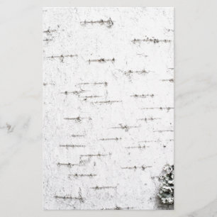 Birch bark stationery