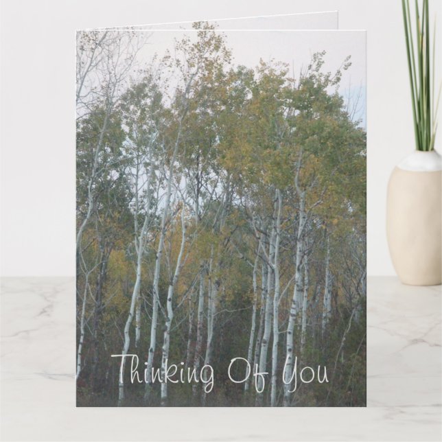 Birch Bark Thinking Of You Card (Front)