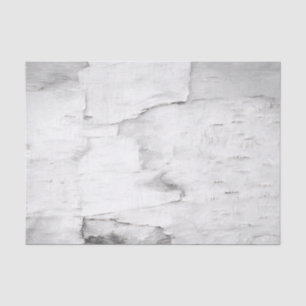 Birch Bark Tree Black And White Rustic Woodland Tissue Paper