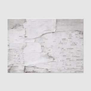 Birch Bark Tree White Rustic Country Woodland Tissue Paper