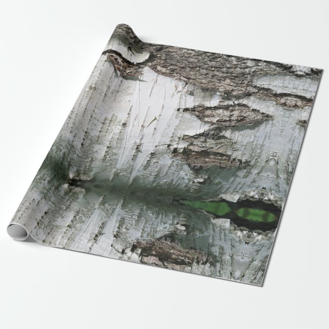Birch bark wrapping paper (Unrolled)