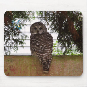 Birch Bay Owl Mouse Mat