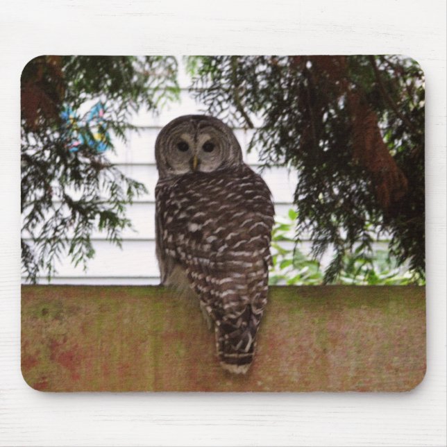 Birch Bay Owl Mouse Mat (Front)