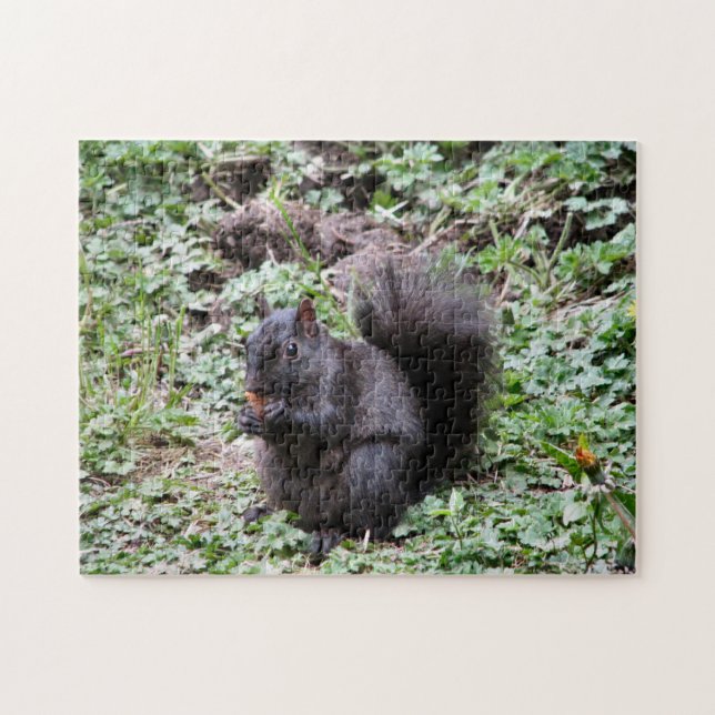 Birch Bay Squirrel Jigsaw Puzzle (Horizontal)