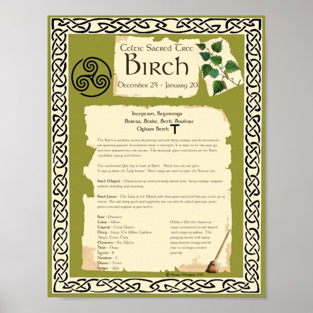 BIRCH CELTIC SACRED TREE POSTER (Front)