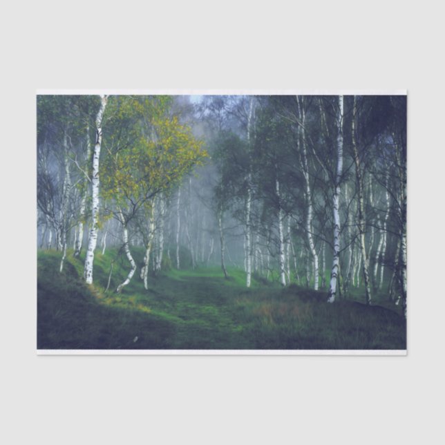 Birch Forest Oil Painting Decoupage Tissue Paper (Front)