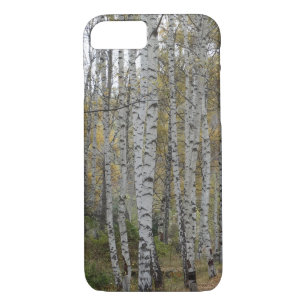 Birch forest Photo Apple iPhone 8/7, Barely There iPhone 8/7 Case