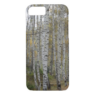Birch forest Photo Apple iPhone 8/7, Barely There Case-Mate iPhone Case