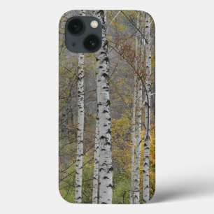 Birch forest Photo Apple iPhone 8/7, Tough Xtreme iPhone 13 Case