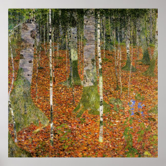 Birch Forest Poster