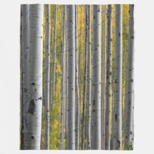 Birch Forest rustic Fleece blanket