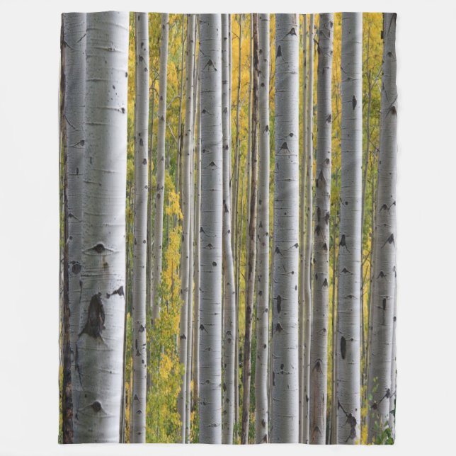 Birch Forest rustic Fleece blanket (Front)