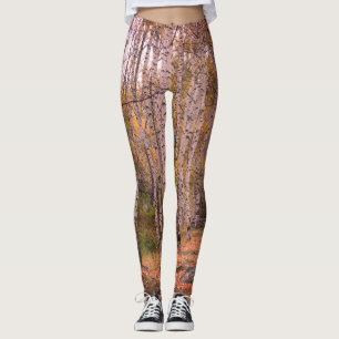 Birch Forrest Autumn Photo Custom Leggings