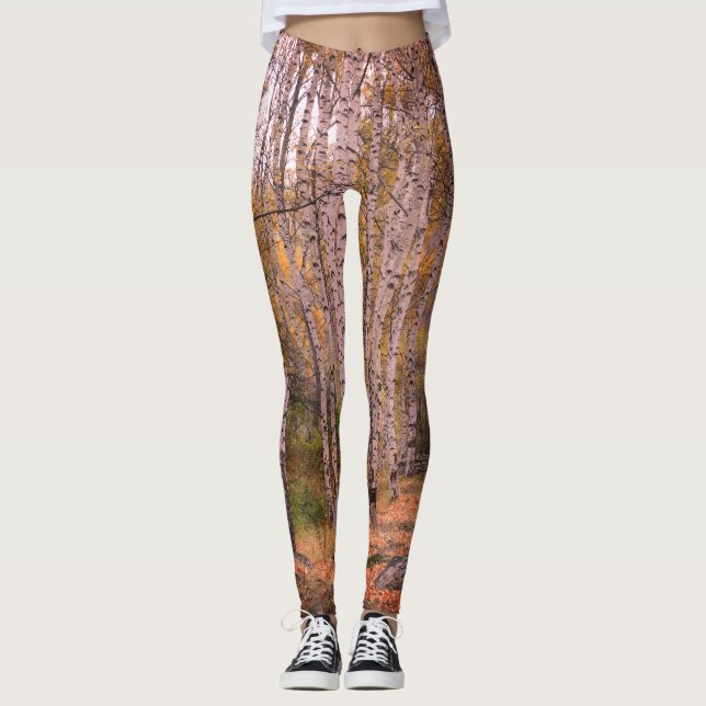 Birch Forrest Autumn Photo Custom Leggings (Front)