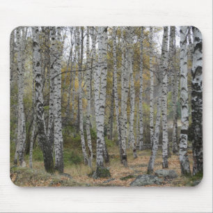 Birch Forrest Photo on Mousepad