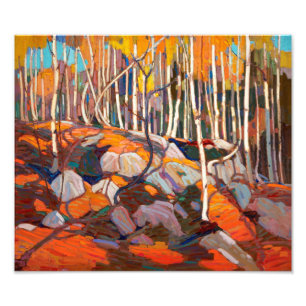 Birch Grove, Autumn   Tom Thompson   Photo Print