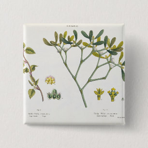 Birch (left) and Mistletoe (right), fig. 9 and 10 15 Cm Square Badge