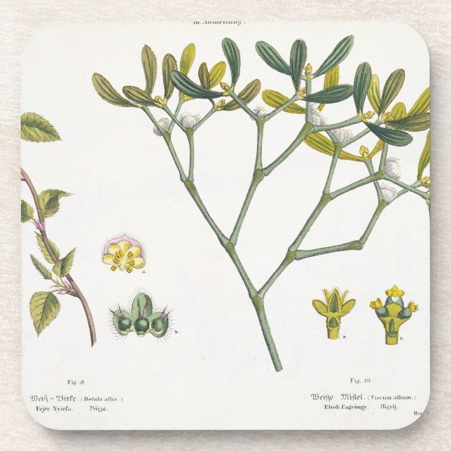 Birch (left) and Mistletoe (right), fig. 9 and 10 Coaster (Front)