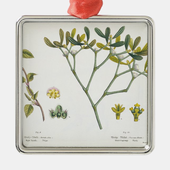 Birch (left) and Mistletoe (right), fig. 9 and 10 Metal Tree Decoration (Front)