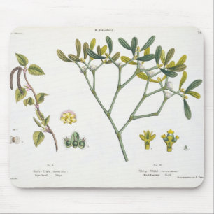 Birch (left) and Mistletoe (right), fig. 9 and 10 Mouse Mat