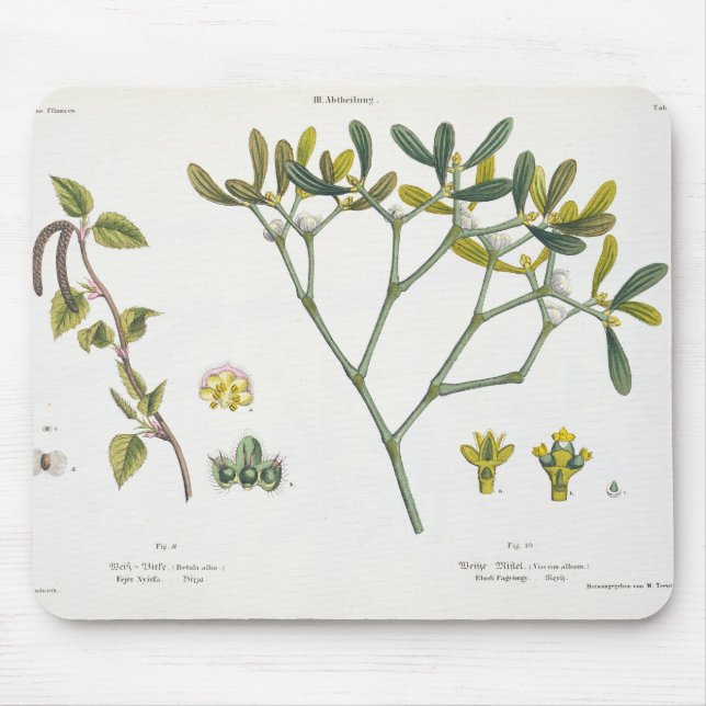Birch (left) and Mistletoe (right), fig. 9 and 10 Mouse Mat (Front)