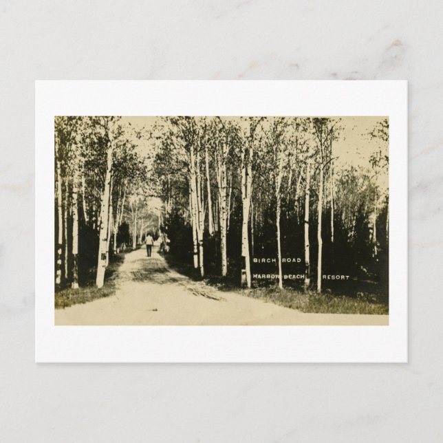 Birch Road Harbour Beach Resort, Michigan Postcard (Front)