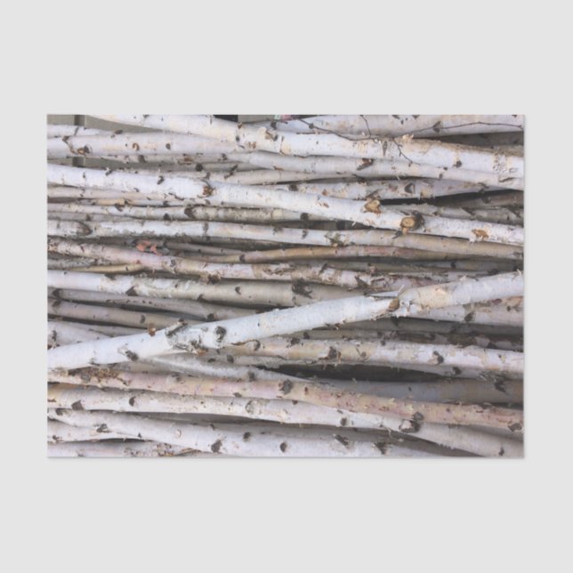 Birch Tissue Paper (Front)