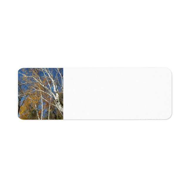 Birch tree (Front)
