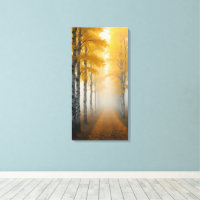 Birch Tree Alley