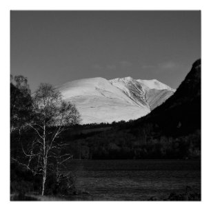 Birch tree and Blencathra Poster