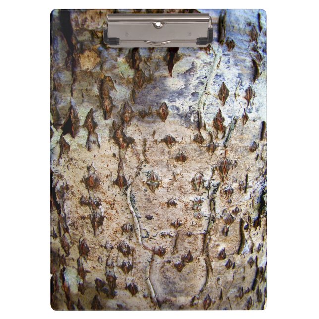 Birch Tree Bark Clipboard (Front)