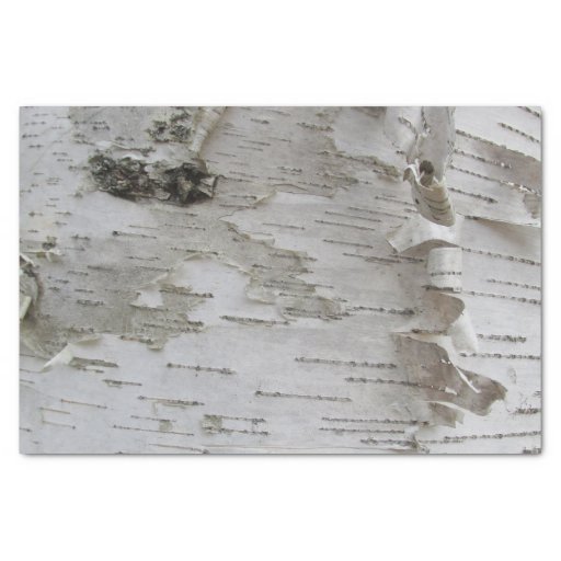 Image of Birch Tree Bark Peeled Old Photo Art Tissue Paper