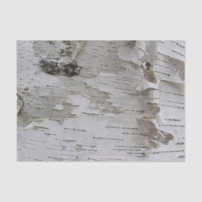 Birch Tree Bark Peeled Old Photo Art Tissue Paper (Front)