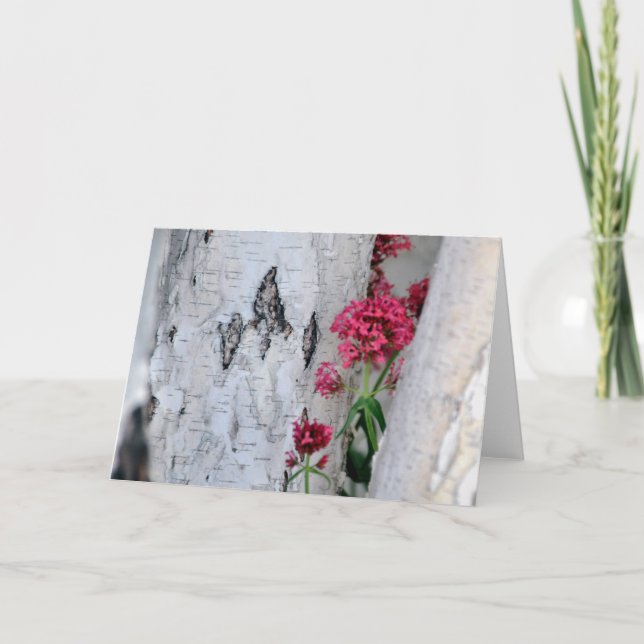 Birch Tree Bark Texture Card (Front)