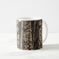 Birch Tree Forest Nature