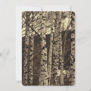 Birch Tree Forest Nature Invitation