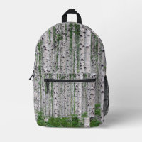 Birch Tree Forest Nature