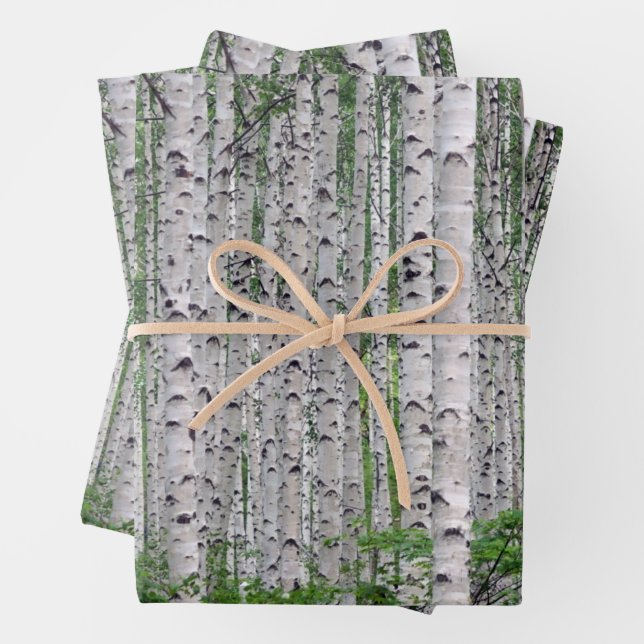 Birch Tree Forest Nature Wrapping Paper Sheet (In situ)
